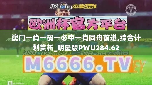 澳门一肖一码一必中一肖同舟前进,综合计划赏析_明星版PWU284.62