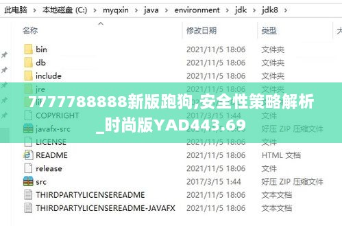 7777788888新版跑狗,安全性策略解析_时尚版YAD443.69