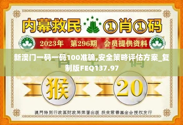 新澳门一码一码100准确,安全策略评估方案_复制版FEQ137.97