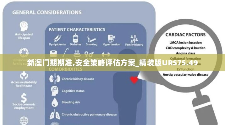 新澳门期期准,安全策略评估方案_精装版URS75.49