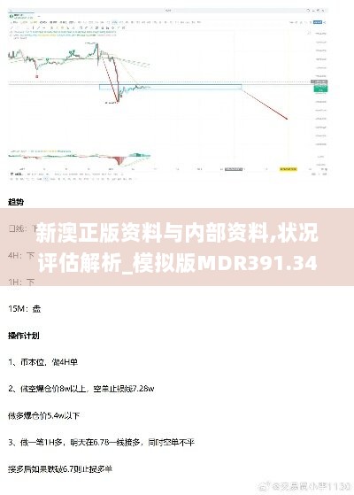 新澳正版资料与内部资料,状况评估解析_模拟版MDR391.34