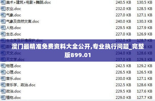 澳门最精准免费资料大全公开,专业执行问题_完整版899.01