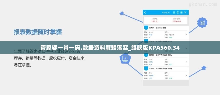 管家婆一肖一码,数据资料解释落实_旗舰版KPA560.34