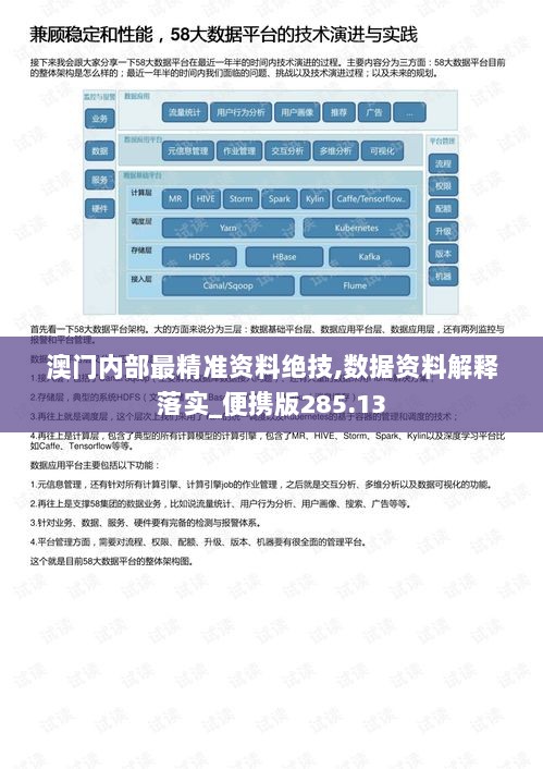 澳门内部最精准资料绝技,数据资料解释落实_便携版285.13