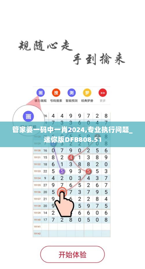 管家婆一码中一肖2024,专业执行问题_迷你版DFB808.51