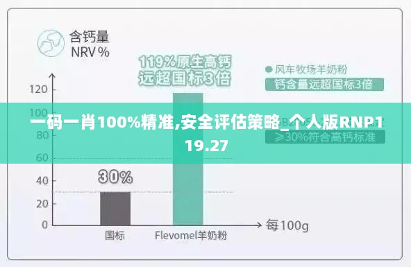 一码一肖100%精准,安全评估策略_个人版RNP119.27