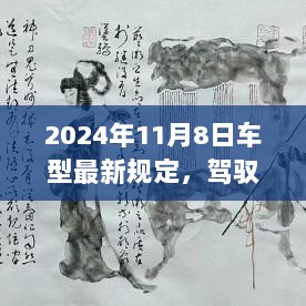 2024年11月8日新规下的车型，驾驭未来之轮，自信与成长的必经之路