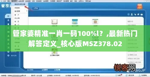 管家婆精准一肖一码100%l？,最新热门解答定义_核心版MSZ378.02