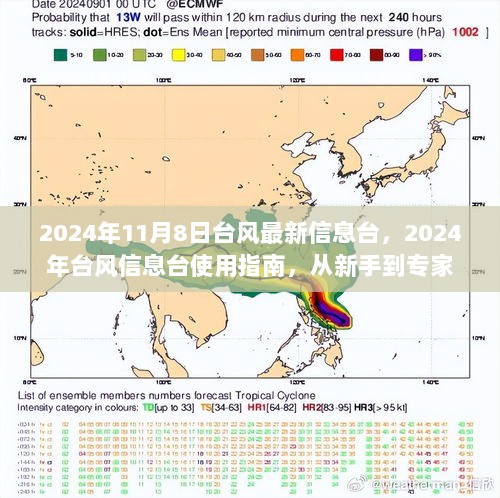 2024年台风信息台使用指南，从新手到专家，掌握台风最新动态的必备手册