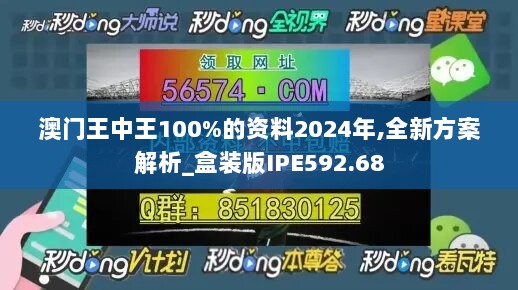 澳门王中王100%的资料2024年,全新方案解析_盒装版IPE592.68