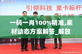 一码一肖100%精准,素材动态方案解答_解放版QUL459.17