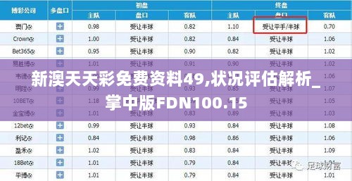 新澳天天彩免费资料49,状况评估解析_掌中版FDN100.15