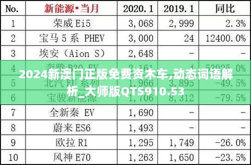 2024新澳门正版免费资木车,动态词语解析_大师版QTS910.53