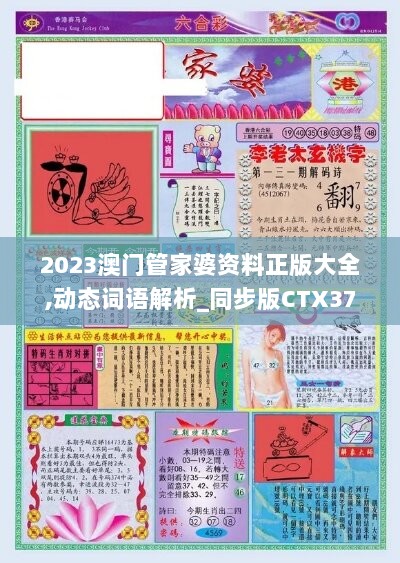 2023澳门管家婆资料正版大全,动态词语解析_同步版CTX371.18