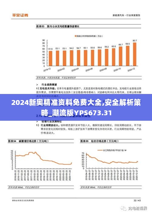 2024新奥精准资料免费大全,安全解析策略_潮流版YPS673.31