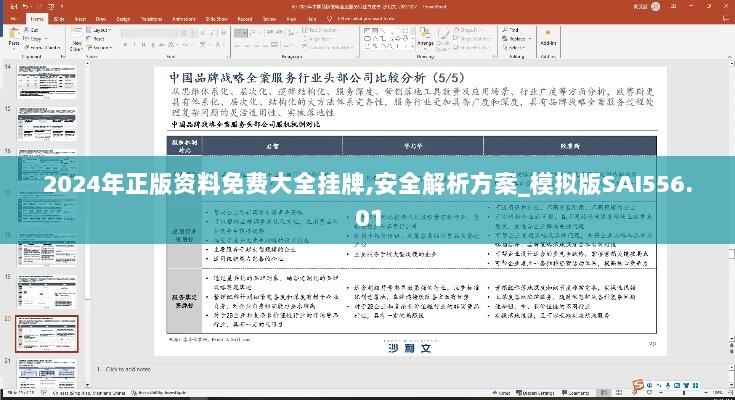 2024年正版资料免费大全挂牌,安全解析方案_模拟版SAI556.01