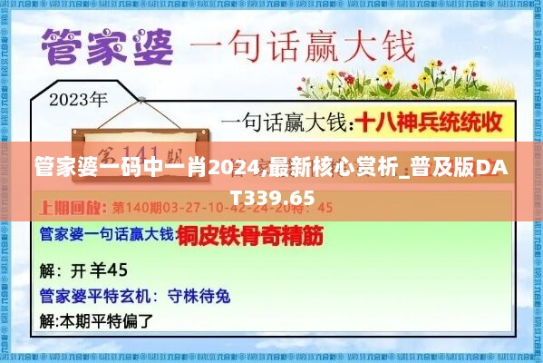 管家婆一码中一肖2024,最新核心赏析_普及版DAT339.65