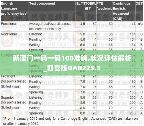 新澳门一码一码100准确,状况评估解析_四喜版GAB223.3