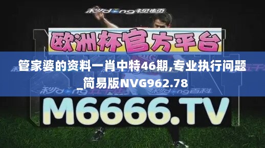 管家婆的资料一肖中特46期,专业执行问题_简易版NVG962.78