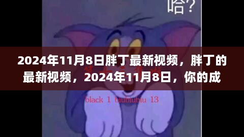 2024年11月8日胖丁最新视频，你的成长之路，自信与成就的源泉