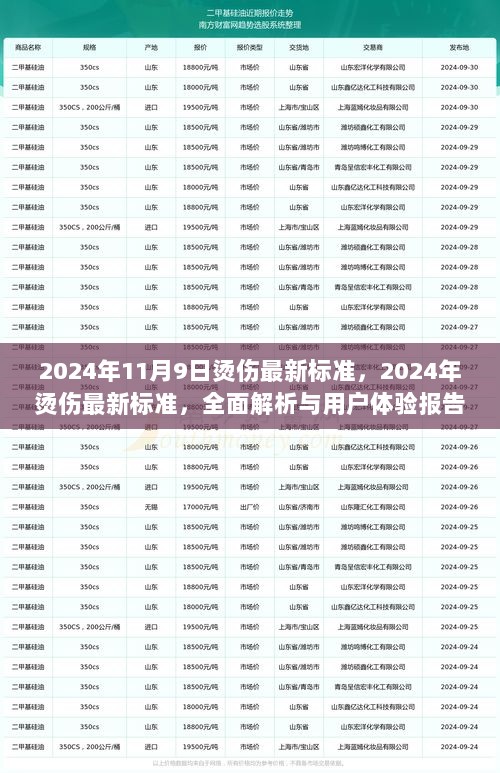 2024年烫伤最新标准全面解析与用户体验报告