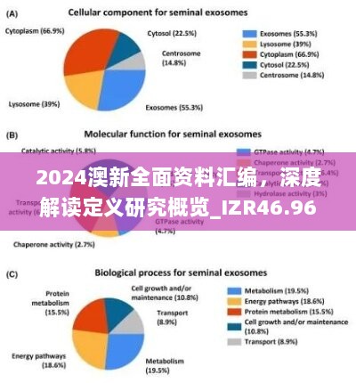 2024澳新全面资料汇编，深度解读定义研究概览_IZR46.96广播版