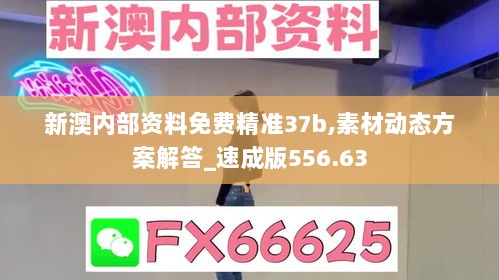 新澳内部资料免费精准37b,素材动态方案解答_速成版556.63