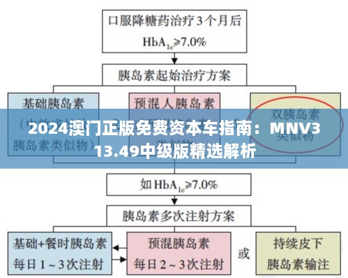 2024澳门正版免费资本车指南：MNV313.49中级版精选解析