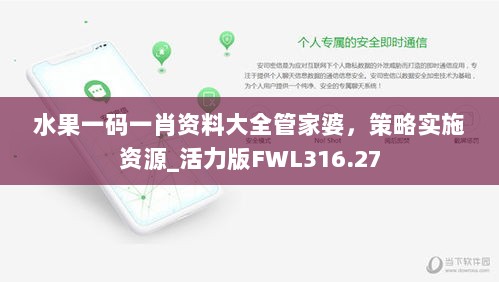 水果一码一肖资料大全管家婆，策略实施资源_活力版FWL316.27