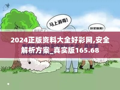 2024正版资料大全好彩网,安全解析方案_真实版165.68