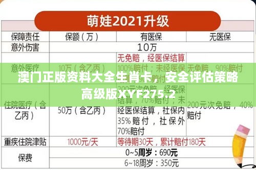 澳门正版资料大全生肖卡，安全评估策略高级版XYF275.2