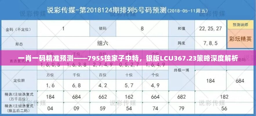 一肖一码精准预测——7955独家子中特，银版LCU367.23策略深度解析