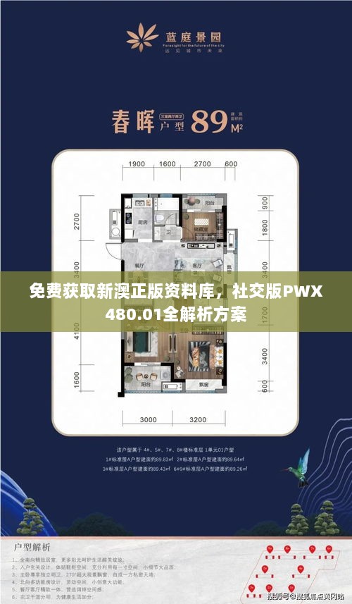 免费获取新澳正版资料库，社交版PWX480.01全解析方案