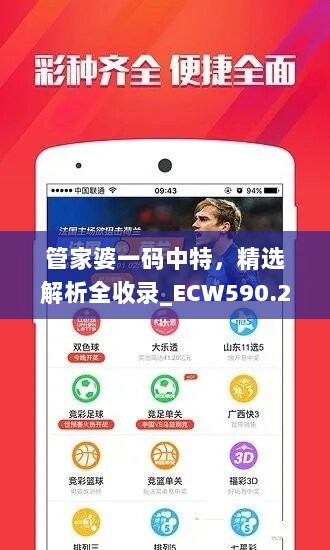 管家婆一码中特，精选解析全收录_ECW590.28交互版