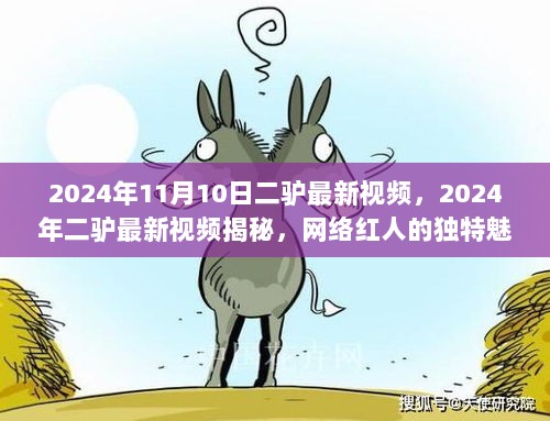 2024年11月10日 第47页