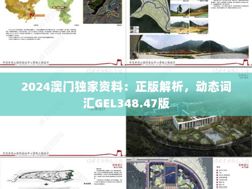 2024澳门独家资料：正版解析，动态词汇GEL348.47版