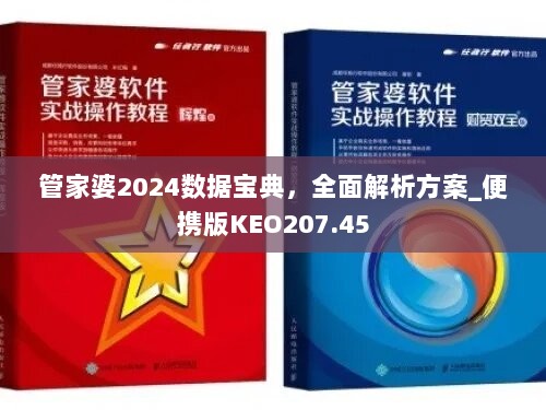 管家婆2024数据宝典，全面解析方案_便携版KEO207.45