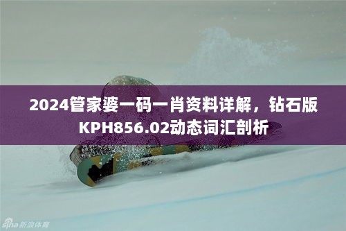 2024管家婆一码一肖资料详解，钻石版KPH856.02动态词汇剖析