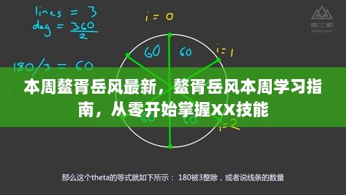 鳌胥岳风本周学习指南，从零开始掌握XX技能最新动态与学习策略