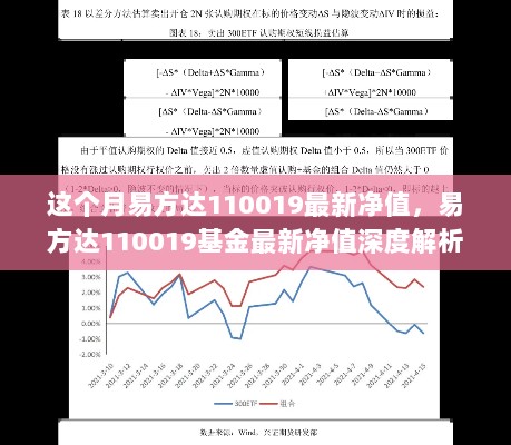 易方达110019基金最新净值深度解析与全面体验报告