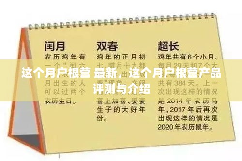 本月户根营产品评测与最新介绍