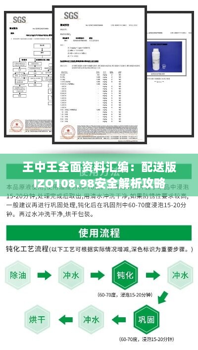 王中王全面资料汇编：配送版IZO108.98安全解析攻略