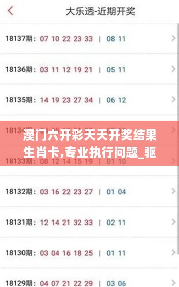 澳门六开彩天天开奖结果生肖卡,专业执行问题_驱动版UBI985.67
