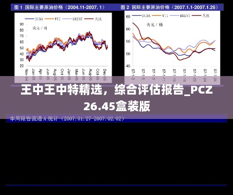 王中王中特精选，综合评估报告_PCZ26.45盒装版