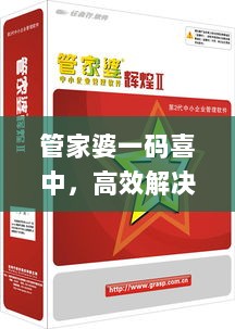 管家婆一码喜中，高效解决问题_公积金板块VCD54.49