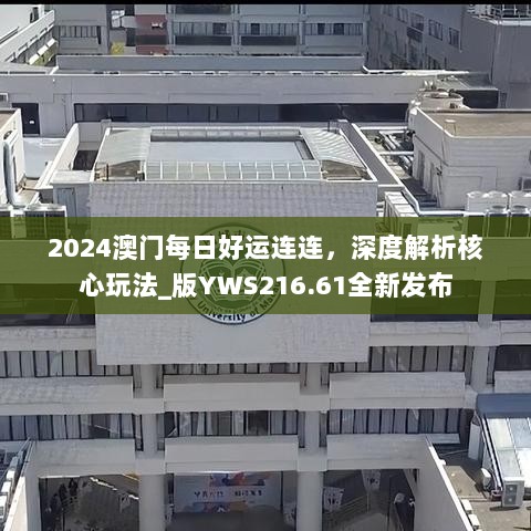 2024年11月11日 第110页