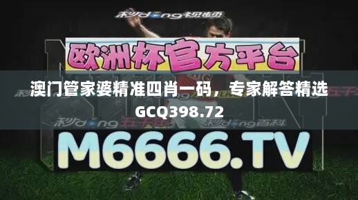 澳门管家婆精准四肖一码，专家解答精选GCQ398.72