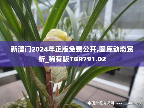 新澳门2024年正版免费公开,图库动态赏析_稀有版TGR791.02