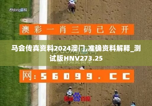 马会传真资料2024澳门,准确资料解释_测试版HNV273.25