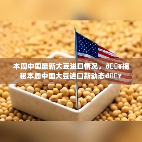 揭秘本周中国大豆进口新动态